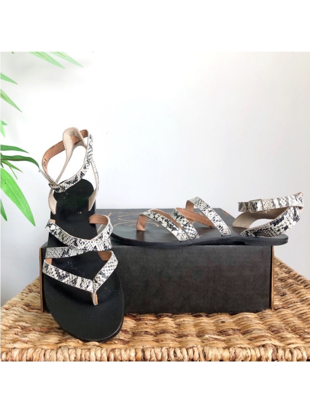 Amuse Society x Matisse Snakeskin Thong Sandals 8